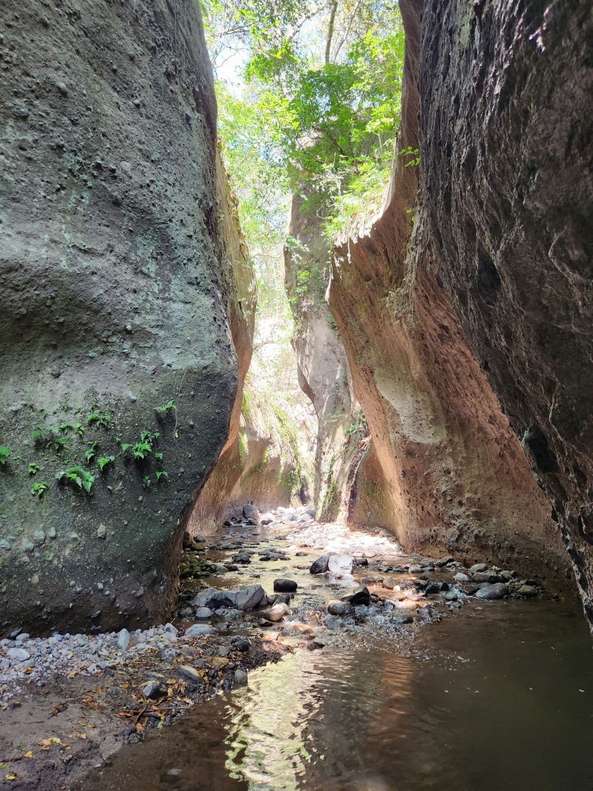 Gallery 2