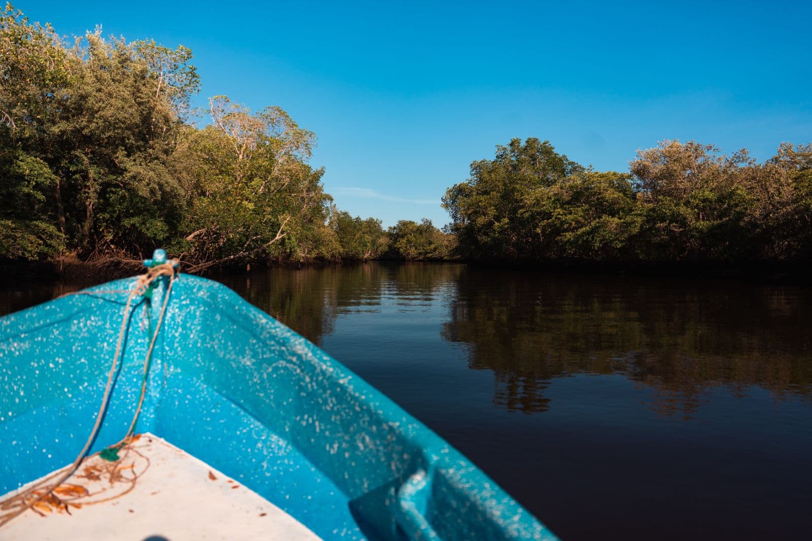 Boat Tour of the Jaltepeque Estuary