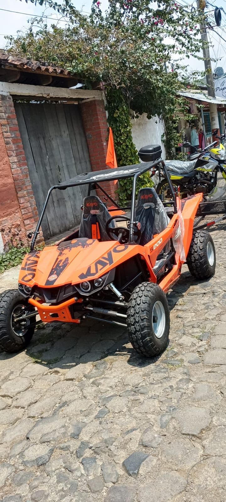 Scenic Buggy & ATV tours in Concepcion de Ataco